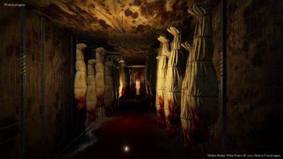 Hidden Shelter cover