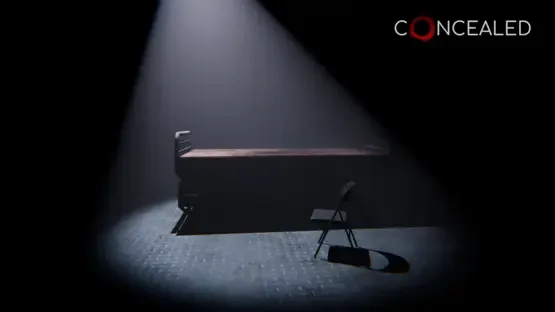Concealed screenshot 1