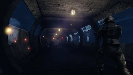 Thumbnail 13