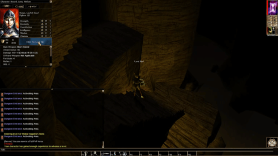 Neverwinter Nights: Infinite Dungeons Screenshot