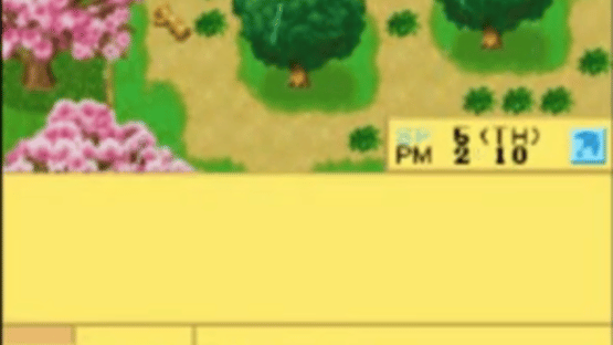 Harvest Moon DS Cute Screenshot