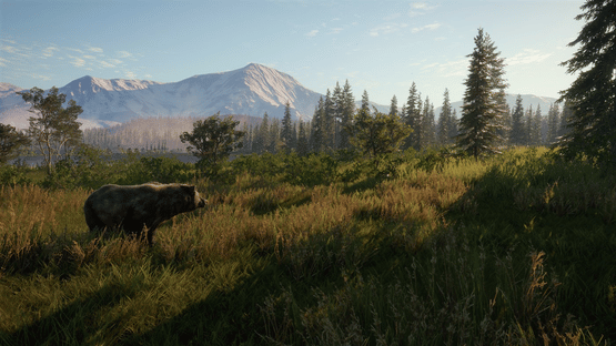 TheHunter: Call of the Wild - 2021 Edition Screenshot