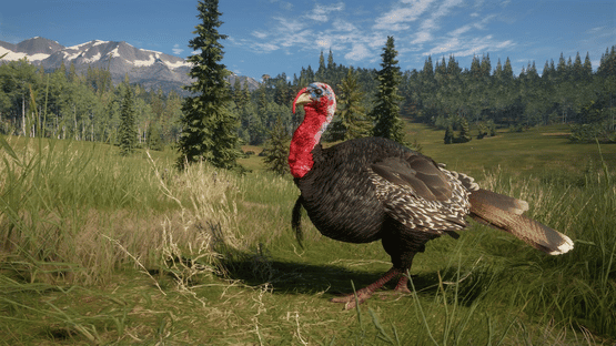 TheHunter: Call of the Wild - 2021 Edition Screenshot