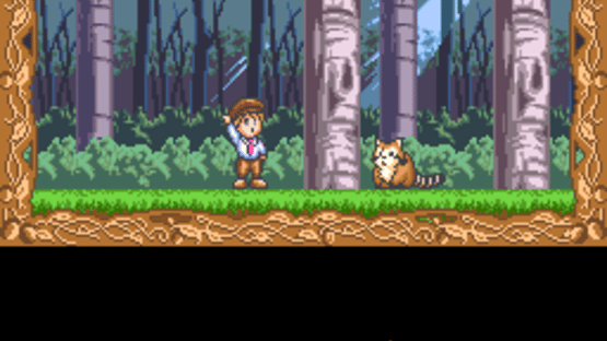 Raccoon Rascal Screenshot