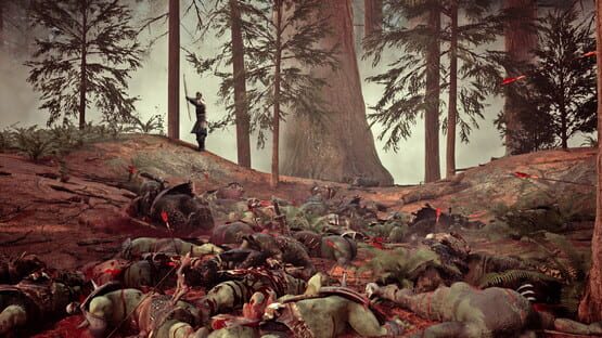 Johan: The Archer & The Witch cover