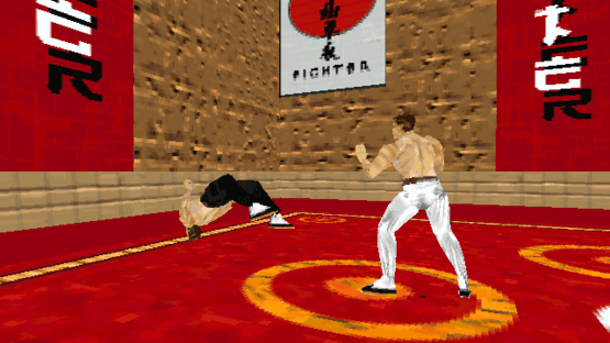 Karate Fighter Screenshot