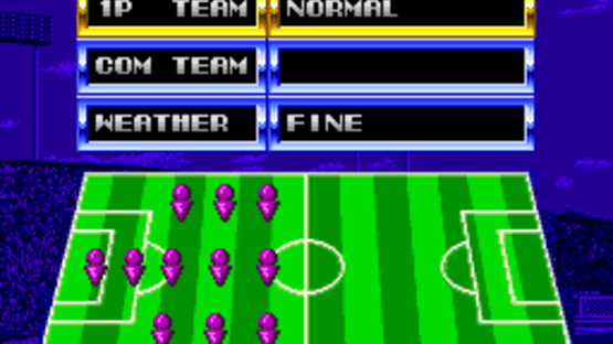 Tecmo World Cup Super Soccer Screenshot