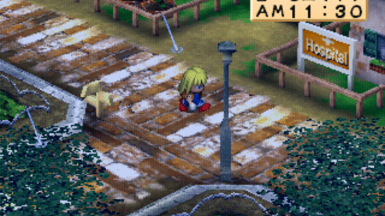 Harvest Moon for Girl Screenshot