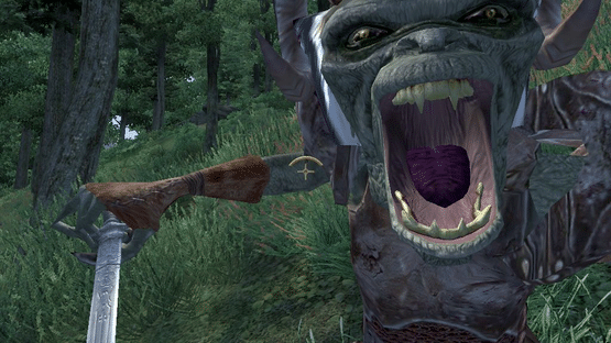 The Elder Scrolls IV: Oblivion 5th Anniversary Edition Screenshot