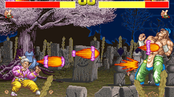 Power Instinct Screenshot