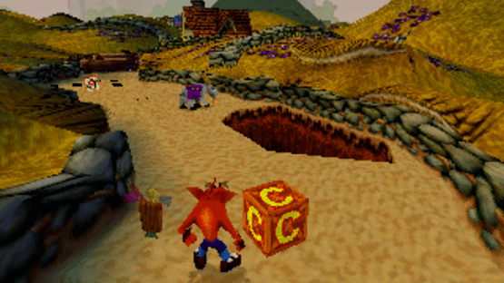 Crash Bandicoot Collectors' Edition Screenshot