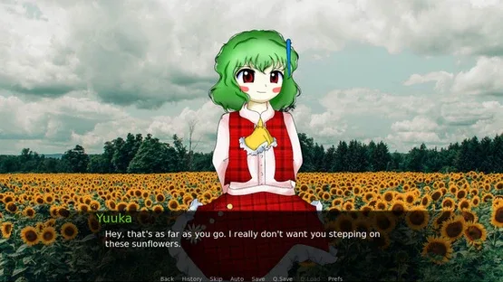CBT With Yuuka Kazami screenshot 1