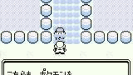 Pokémon Green Version Screenshot