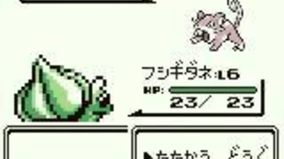 Pokémon Green Version Screenshot