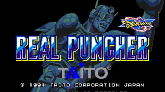 Sonic Blast Man: Real Puncher Screenshot