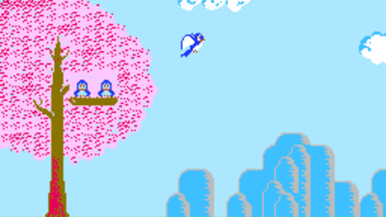 Bird Week Screenshot