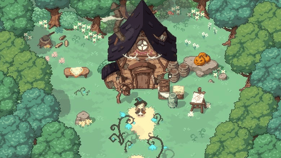 Little Witch in the Woods Screenshot