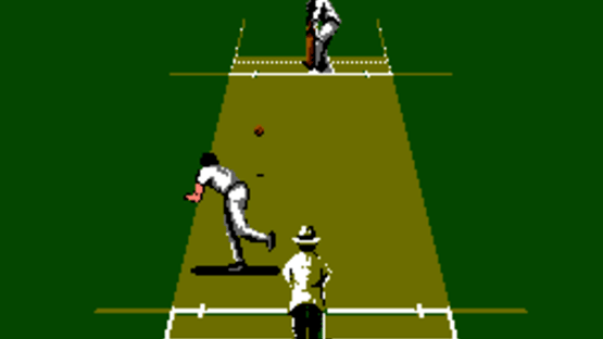 International Cricket Screenshot