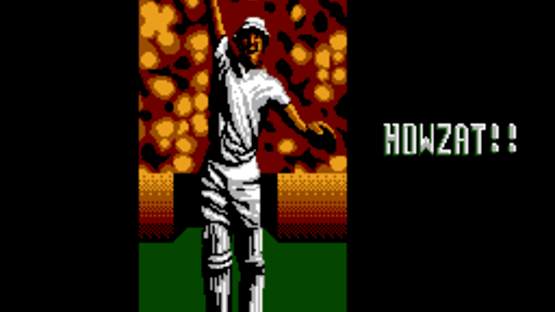 International Cricket Screenshot