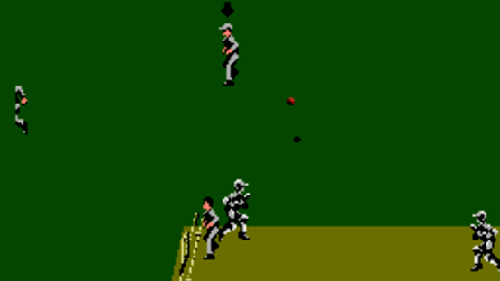 International Cricket Screenshot