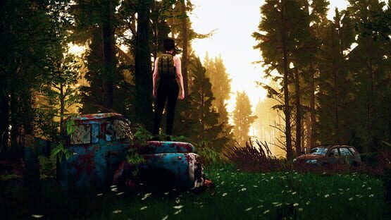 Tales from the Cache cover