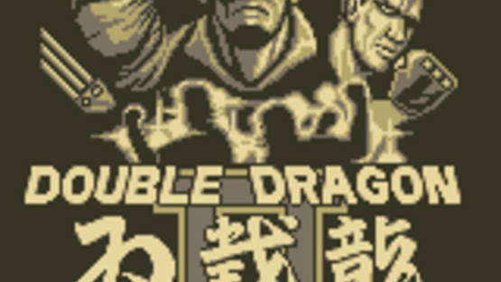 Double Dragon II Screenshot