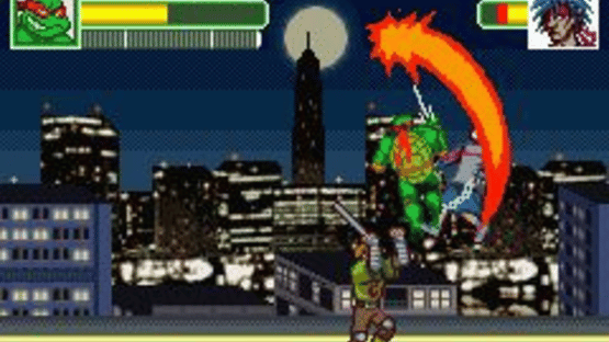 Teenage Mutant Ninja Turtles Double Pack Screenshot