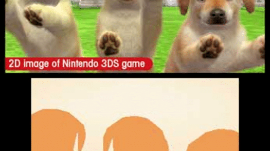 Nintendogs + Cats: Toy Poodle & New Friends Screenshot