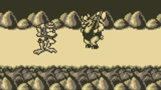 Battletoads Screenshot