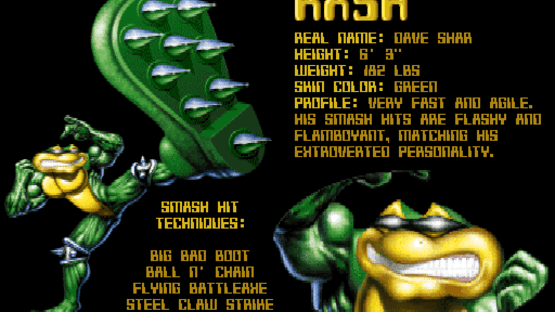 Battletoads Screenshot