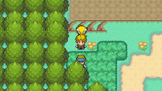 Pokémon Insurgence Screenshot