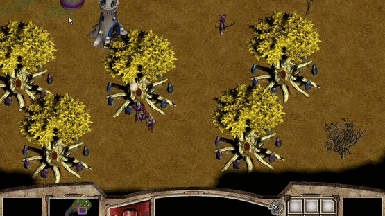 Warlords Battlecry Screenshot