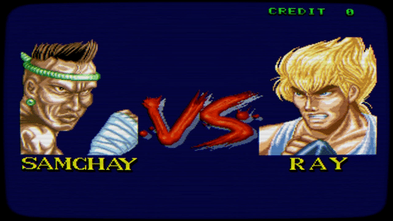 Johnny Turbo's Arcade: Fighter's History Screenshot