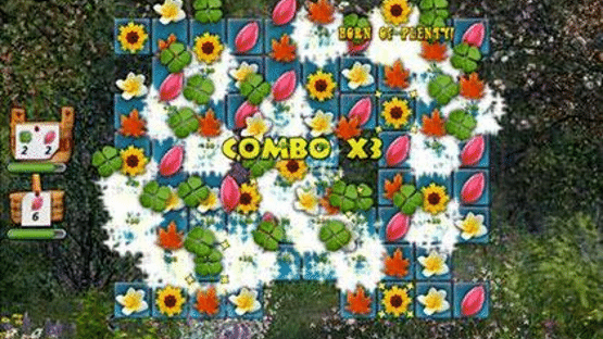 Flowers in Bloom Screenshot