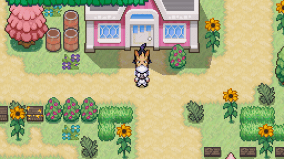 Pokémon Beekeeper Screenshot