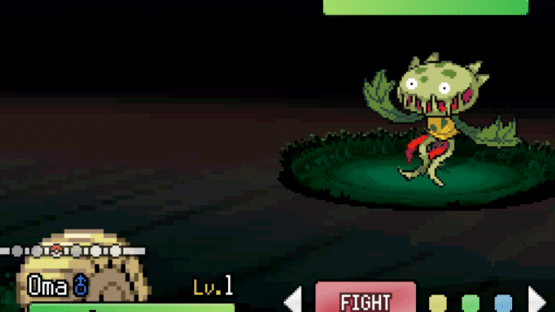 Pokémon D.W. Screenshot