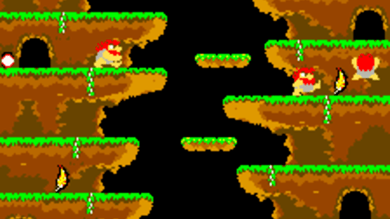 Roc 'N Rope Screenshot