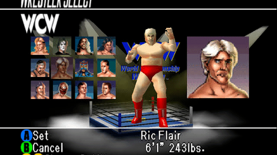 WCW vs. nWo: World Tour Screenshot