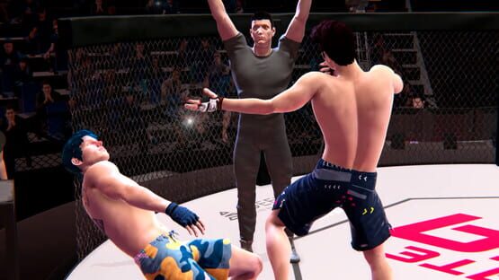Thumbnail 12