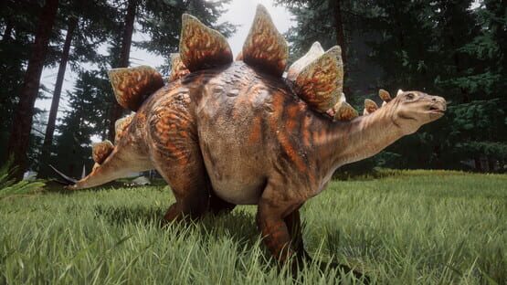 screenshot 21