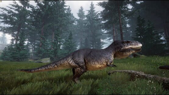 screenshot 25