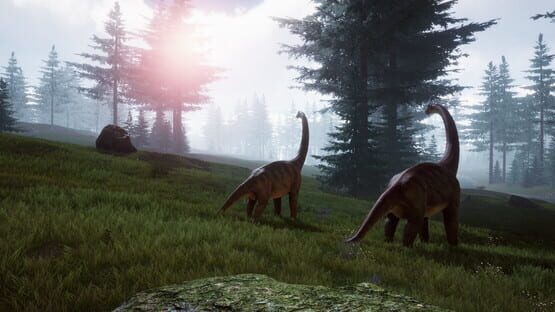 screenshot 26