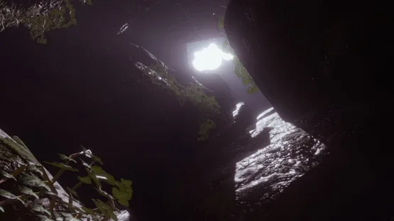 Grave of the Petrified screenshot 5