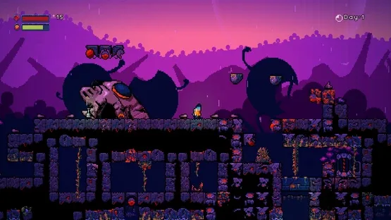 Thumbnail 9