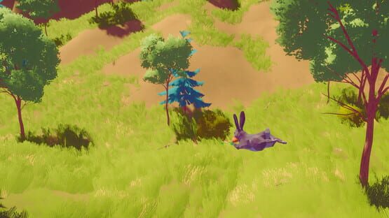 Rabbit Simulator cover