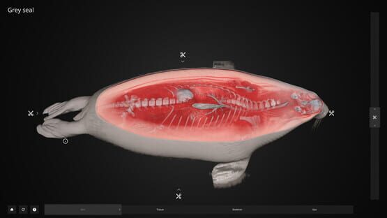 Inside Explorer cover