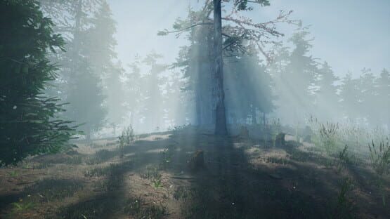 Mushroom Picker Simulator screenshot 6