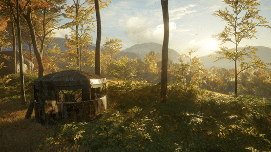 TheHunter: Call of the Wild - Tents & Ground Blinds Screenshot