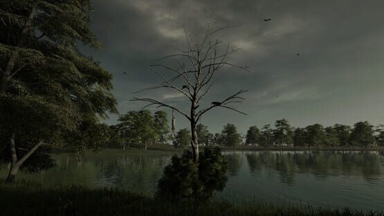 Tales of Herring Lake cover