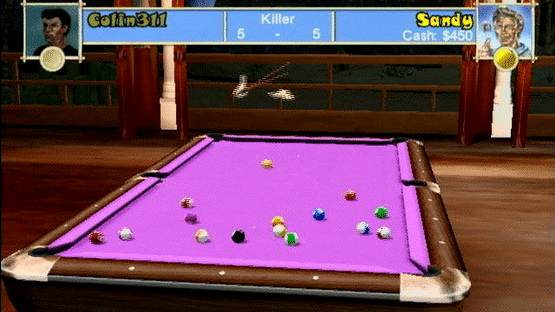 Pool Paradise: International Edition Screenshot